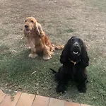 Les Cocons De Nabeillou Appartement